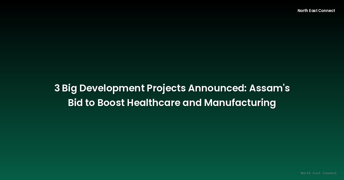 3 Big Development Projects Announced: Assam's Bid to Boost Healthcare and Manufacturing
