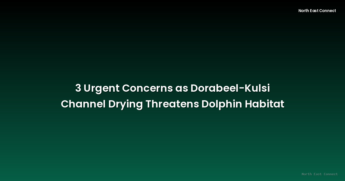 3 Urgent Concerns as Dorabeel-Kulsi Channel Drying Threatens Dolphin Habitat