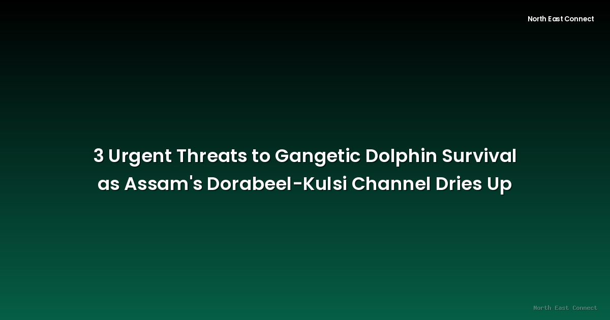 3 Urgent Threats to Gangetic Dolphin Survival as Assam's Dorabeel-Kulsi Channel Dries Up