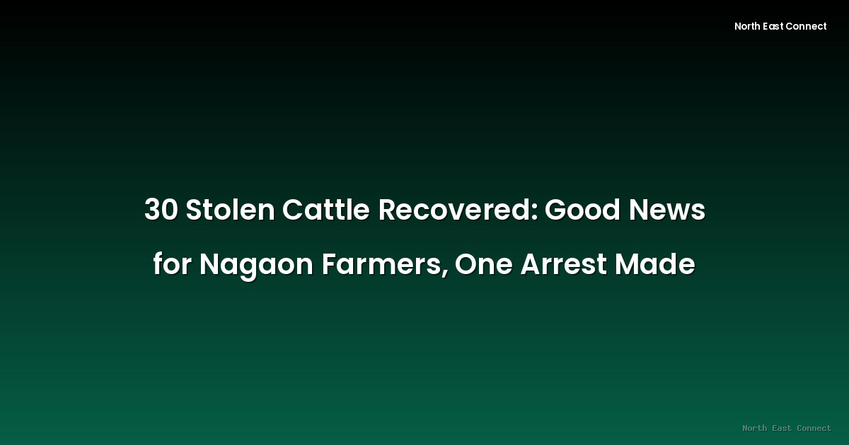 30 Stolen Cattle Recovered: Good News for Nagaon Farmers, One Arrest Made