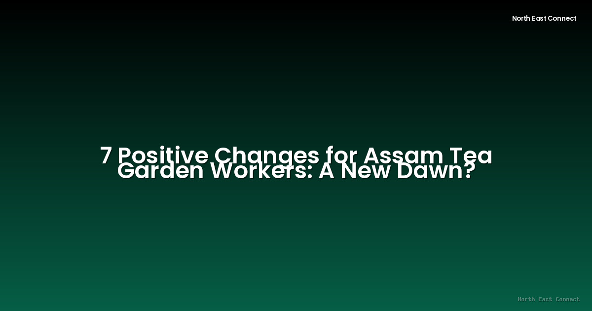 7 Positive Changes for Assam Tea Garden Workers: A New Dawn?