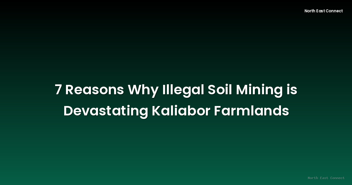 7 Reasons Why Illegal Soil Mining is Devastating Kaliabor Farmlands