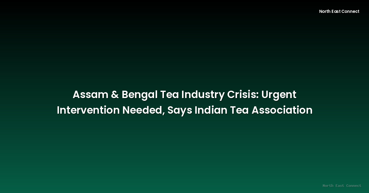Assam & Bengal Tea Industry Crisis: Urgent Intervention Needed, Says Indian Tea Association