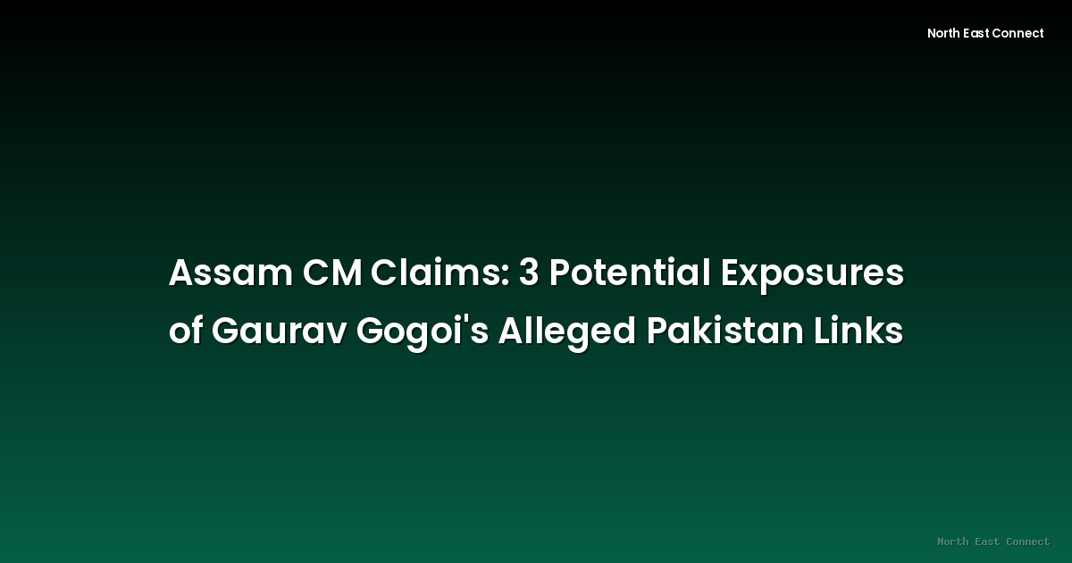 Assam CM Claims: 3 Potential Exposures of Gaurav Gogoi's Alleged Pakistan Links