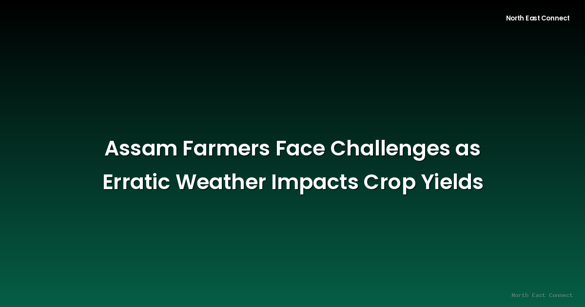Assam Farmers Face Challenges as Erratic Weather Impacts Crop Yields