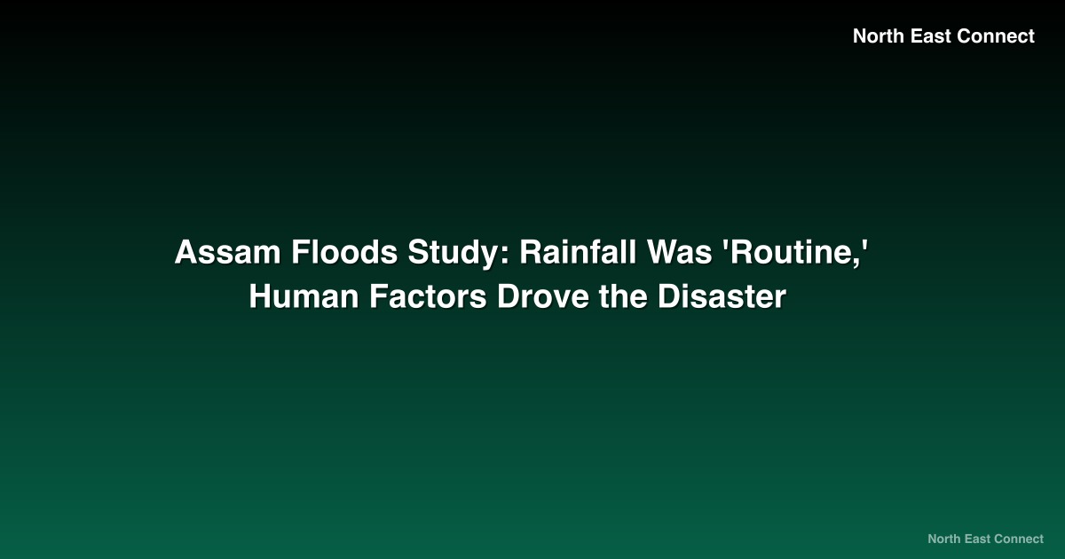 Assam Floods Study: Rainfall Was 'Routine,' Human Factors Drove the Disaster