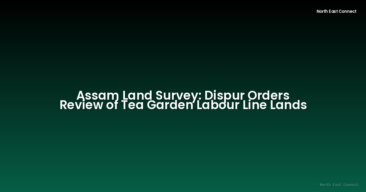 Assam Land Survey: Dispur Orders Review of Tea Garden Labour Line Lands