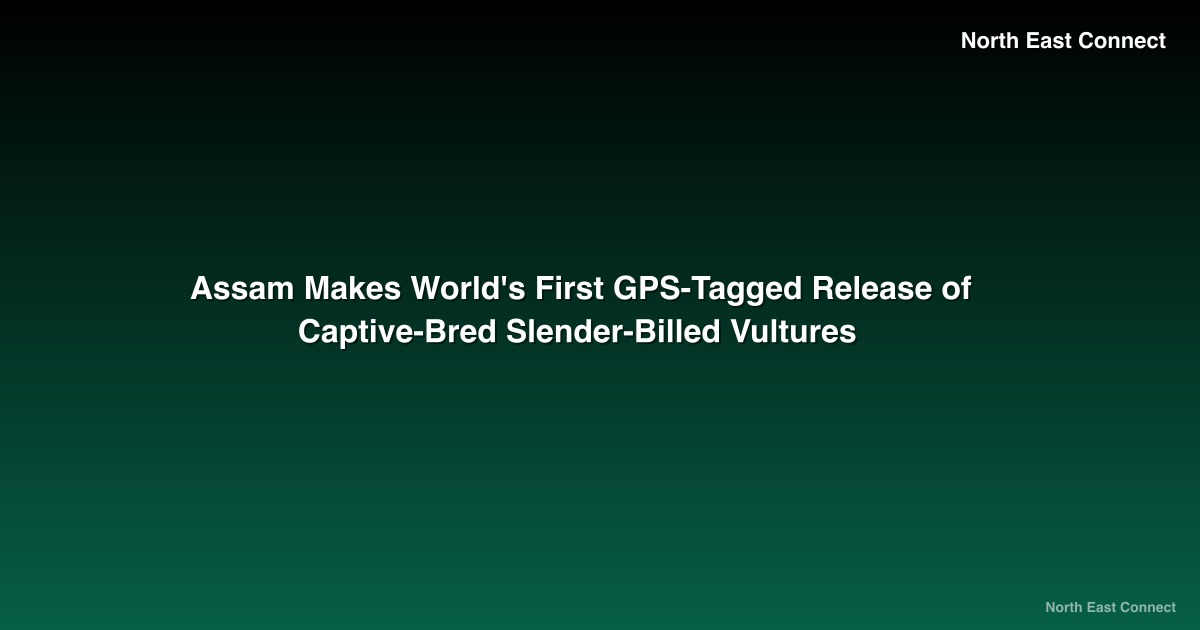Assam Makes World's First GPS-Tagged Release of Captive-Bred Slender-Billed Vultures