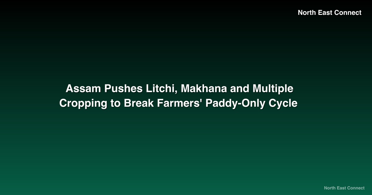 Assam Pushes Litchi, Makhana and Multiple Cropping to Break Farmers' Paddy-Only Cycle