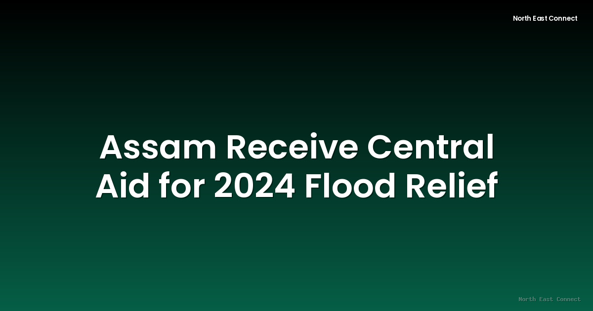 Assam Receive Central Aid for 2024 Flood Relief