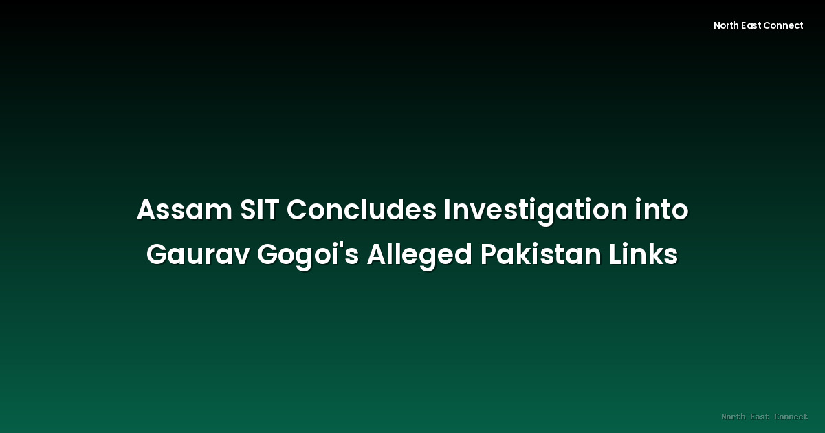 Assam SIT Concludes Investigation into Gaurav Gogoi's Alleged Pakistan Links