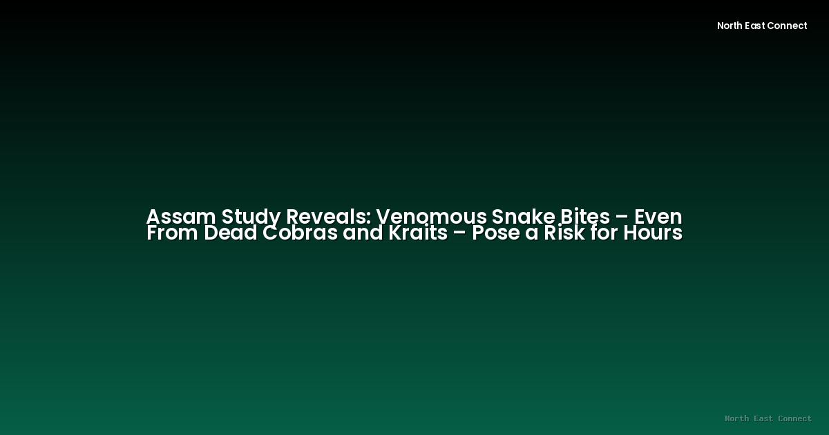Assam Study Reveals: Venomous Snake Bites – Even From Dead Cobras and Kraits – Pose a Risk for Hours