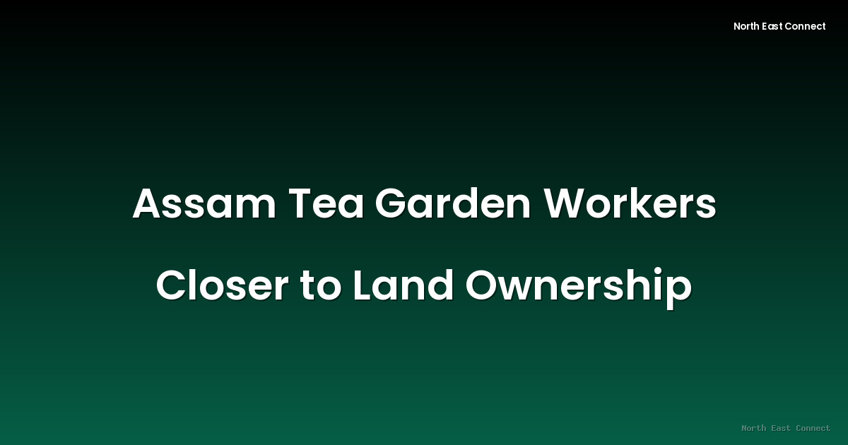 Assam Tea Garden Workers Closer to Land Ownership