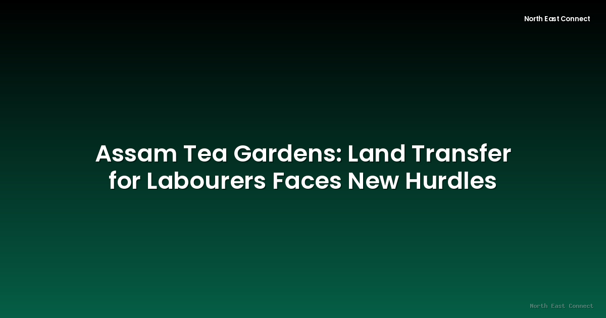 Assam Tea Gardens: Land Transfer for Labourers Faces New Hurdles