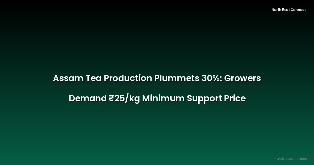 Assam Tea Production Plummets 30%: Growers Demand ₹25/kg Minimum Support Price