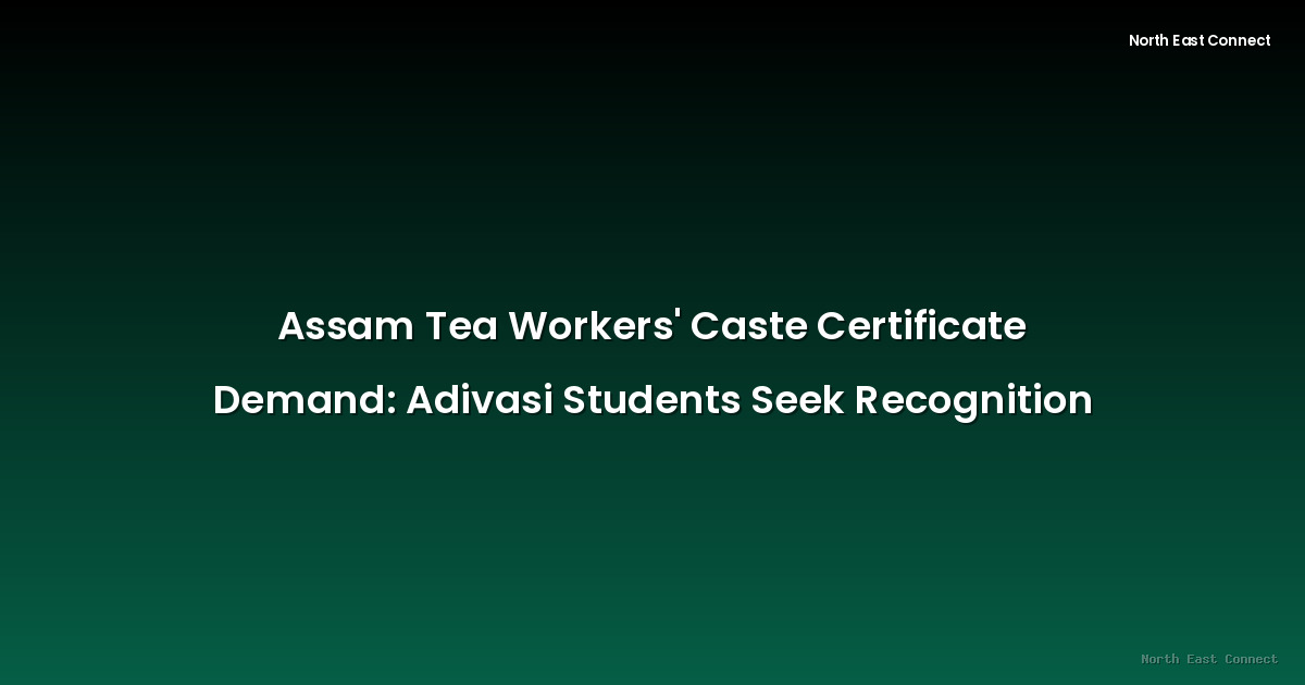 Assam Tea Workers' Caste Certificate Demand: Adivasi Students Seek Recognition