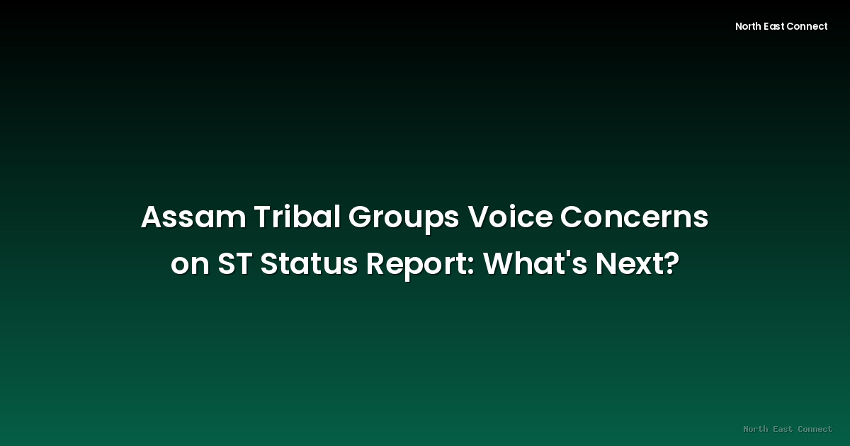 Assam Tribal Groups Voice Concerns on ST Status Report: What's Next?