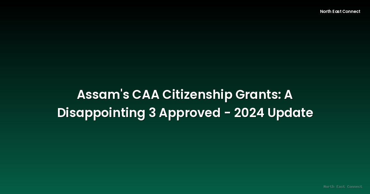 Assam's CAA Citizenship Grants: A Disappointing 3 Approved - 2024 Update