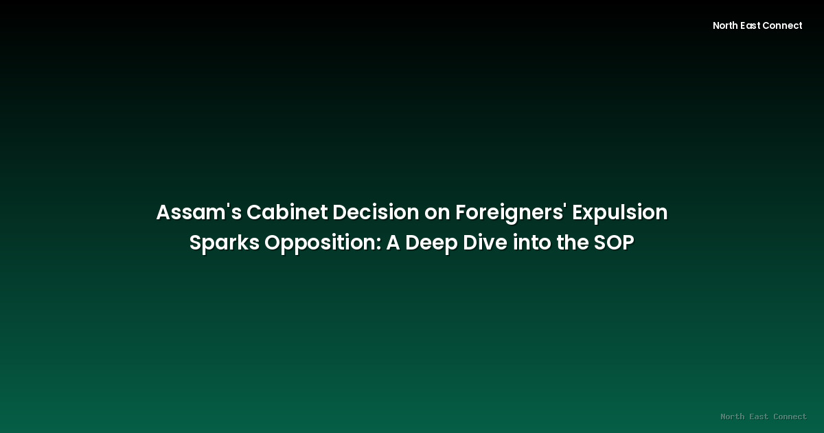 Assam's Cabinet Decision on Foreigners' Expulsion Sparks Opposition: A Deep Dive into the SOP