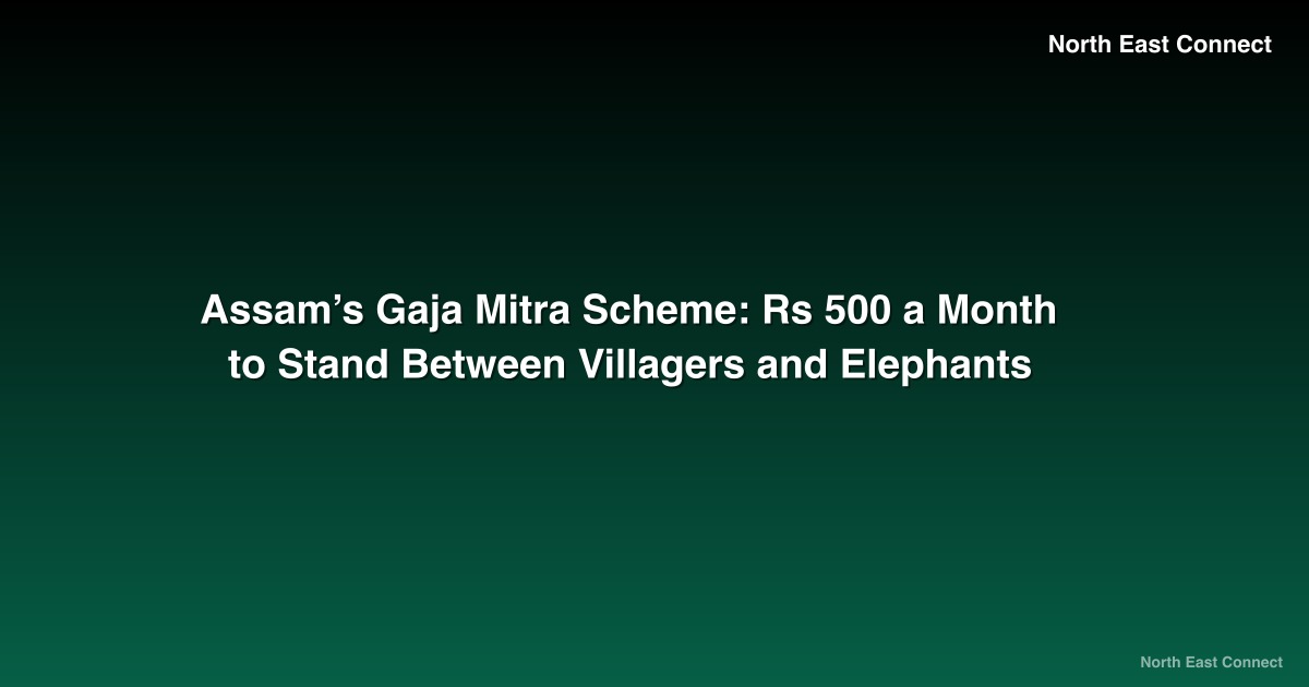 Assam’s Gaja Mitra Scheme: Rs 500 a Month to Stand Between Villagers and Elephants