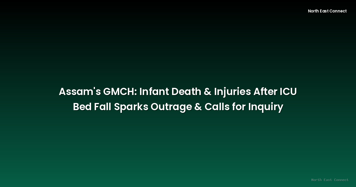 Assam's GMCH: Infant Death & Injuries After ICU Bed Fall Sparks Outrage & Calls for Inquiry