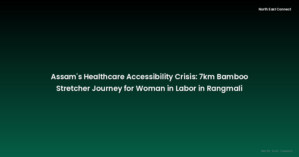 Assam's Healthcare Accessibility Crisis: 7km Bamboo Stretcher Journey for Woman in Labor in Rangmali