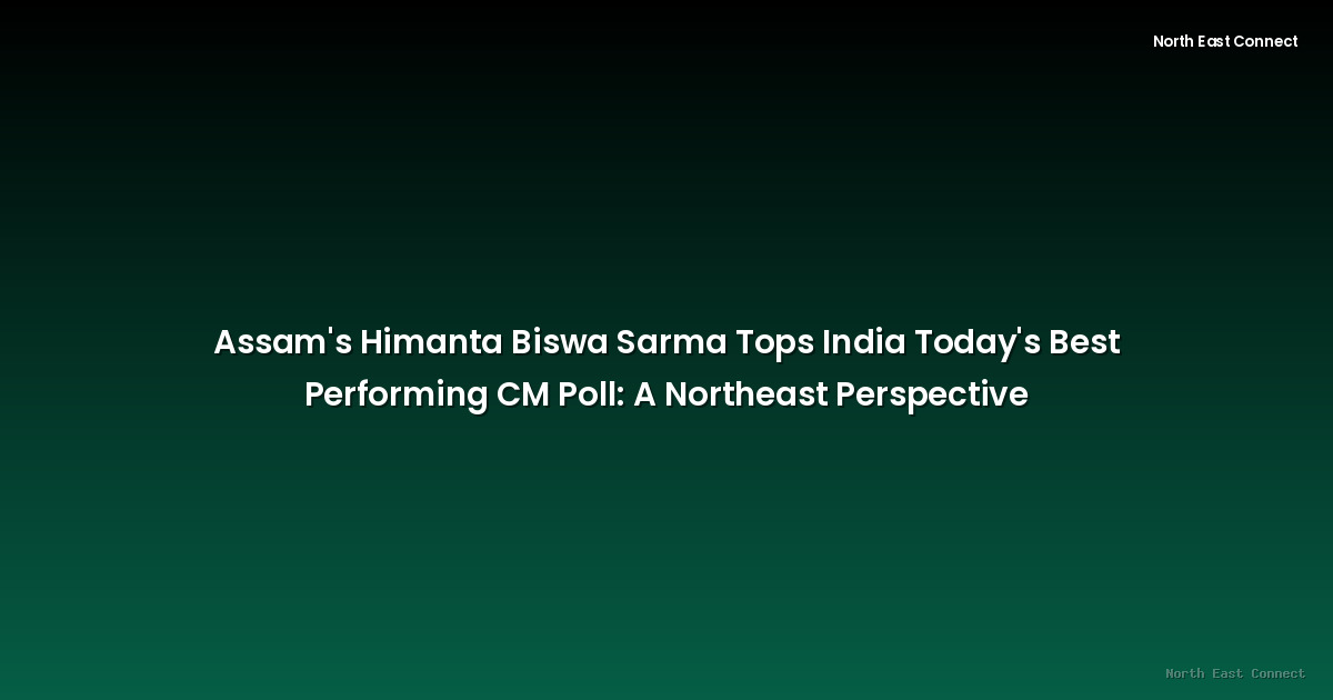 Assam's Himanta Biswa Sarma Tops India Today's Best Performing CM Poll: A Northeast Perspective