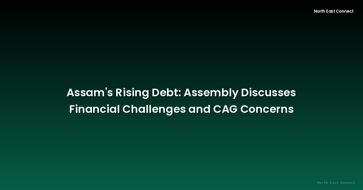 Assam's Rising Debt: Assembly Discusses Financial Challenges and CAG Concerns