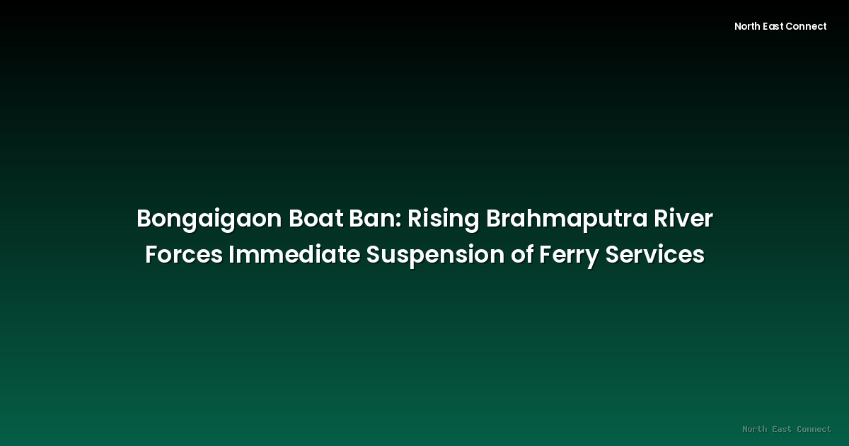Bongaigaon Boat Ban: Rising Brahmaputra River Forces Immediate Suspension of Ferry Services