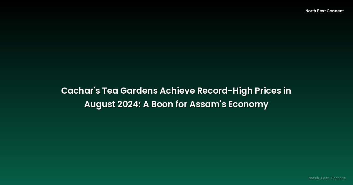 Cachar's Tea Gardens Achieve Record-High Prices in August 2024: A Boon for Assam's Economy