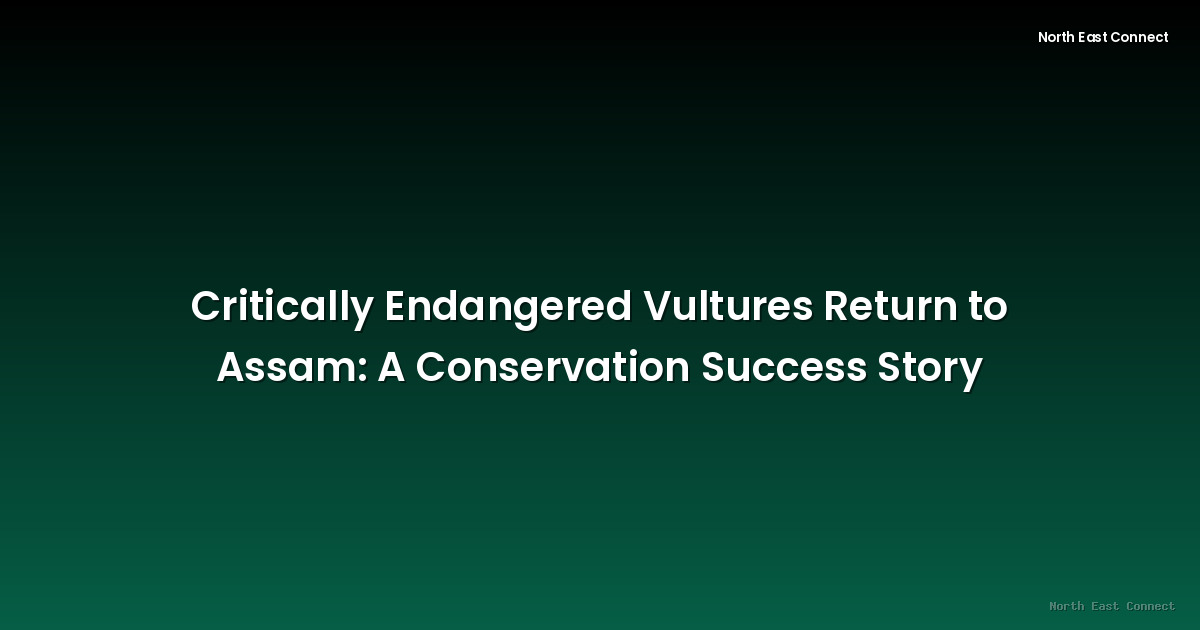Critically Endangered Vultures Return to Assam: A Conservation Success Story