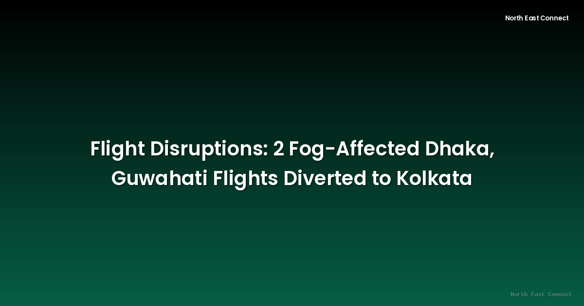 Flight Disruptions: 2 Fog-Affected Dhaka, Guwahati Flights Diverted to Kolkata