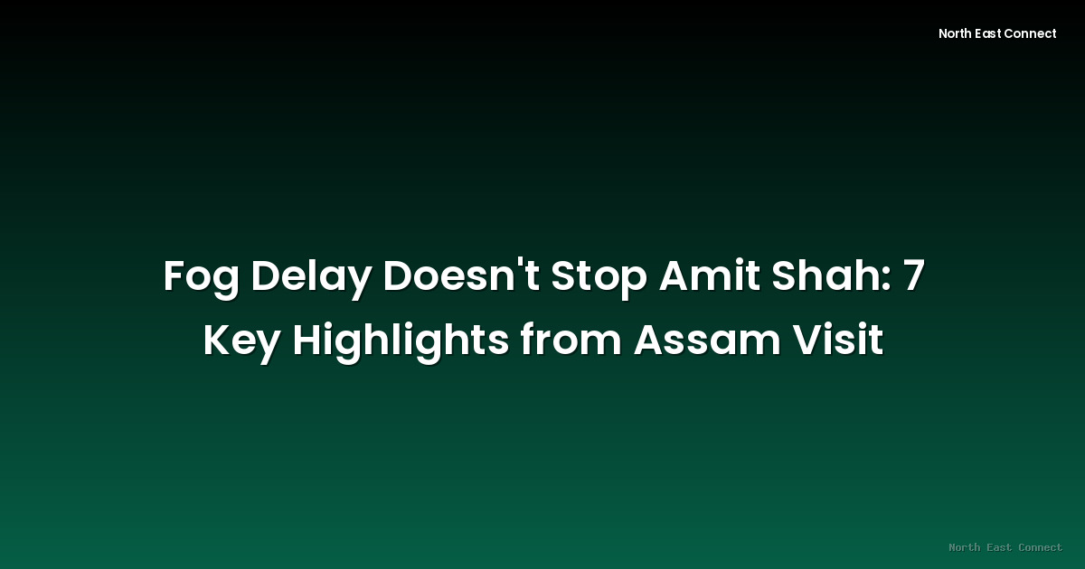 Fog Delay Doesn't Stop Amit Shah: 7 Key Highlights from Assam Visit