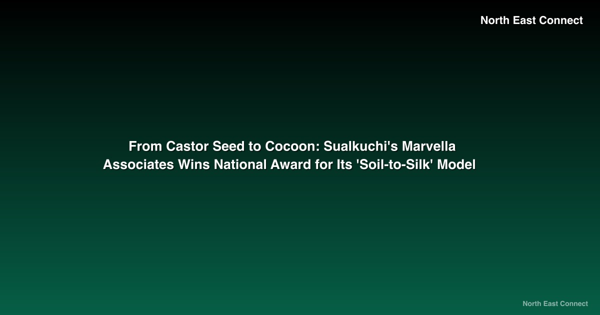 From Castor Seed to Cocoon: Sualkuchi's Marvella Associates Wins National Award for Its 'Soil-to-Silk' Model