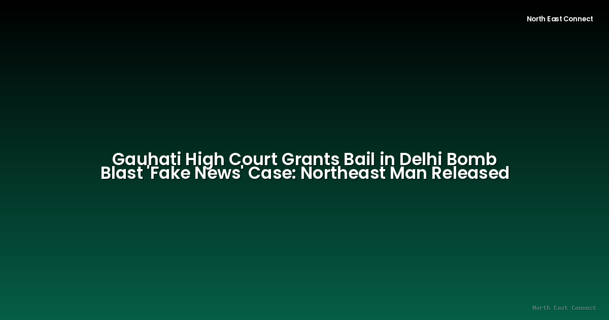 Gauhati High Court Grants Bail in Delhi Bomb Blast 'Fake News' Case: Northeast Man Released