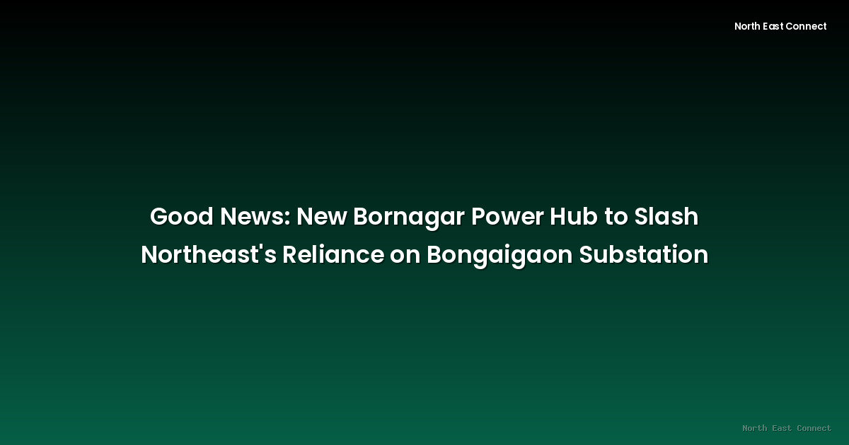Good News: New Bornagar Power Hub to Slash Northeast's Reliance on Bongaigaon Substation