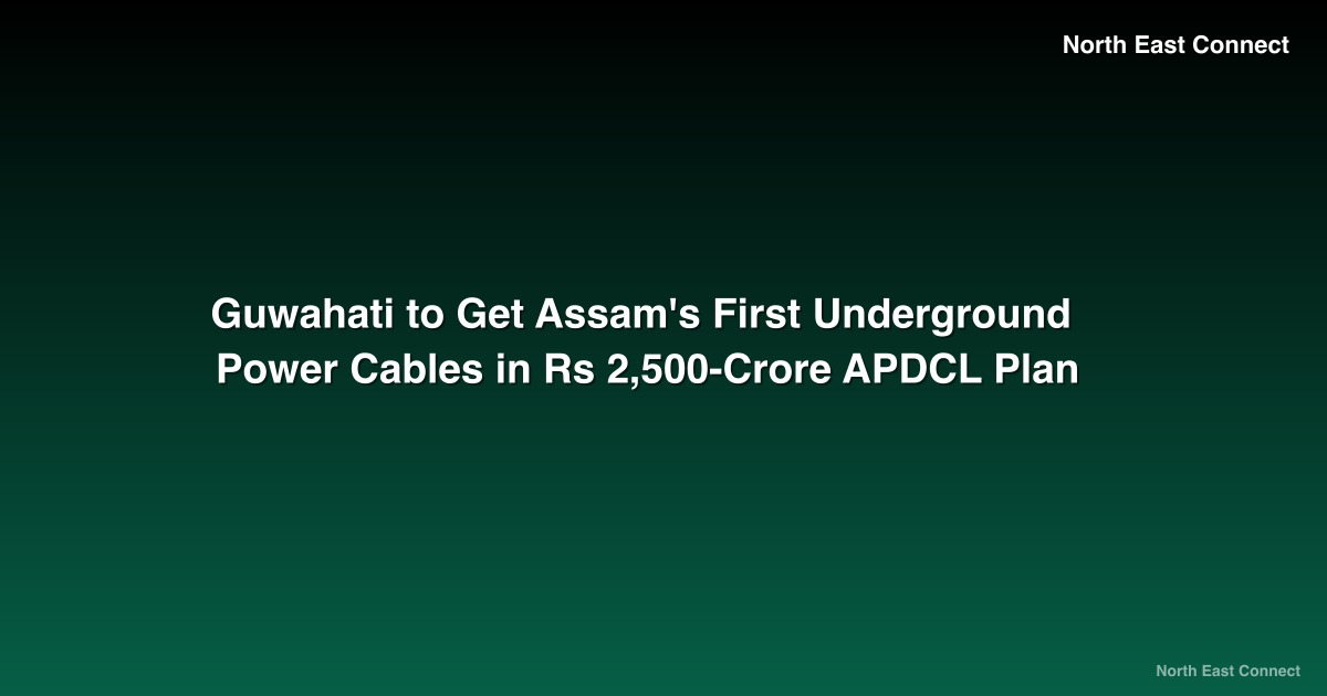 Guwahati to Get Assam's First Underground Power Cables in Rs 2,500-Crore APDCL Plan
