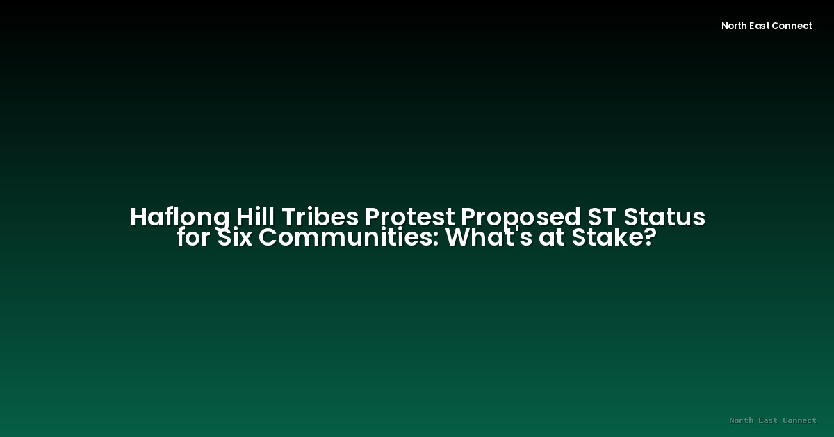Haflong Hill Tribes Protest Proposed ST Status for Six Communities: What's at Stake?