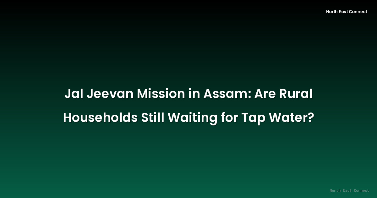 Jal Jeevan Mission in Assam: Are Rural Households Still Waiting for Tap Water?