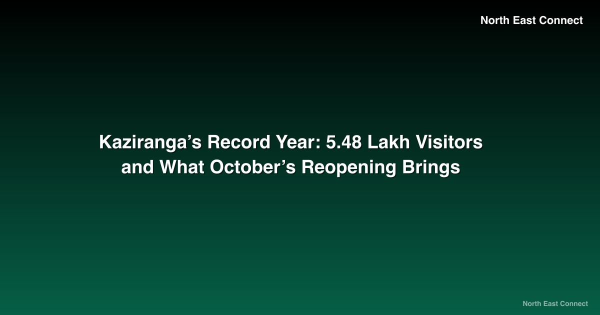 Kaziranga’s Record Year: 5.48 Lakh Visitors and What October’s Reopening Brings
