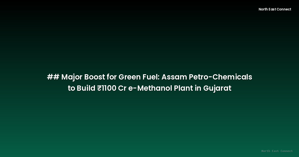 ## Major Boost for Green Fuel: Assam Petro-Chemicals to Build ₹1100 Cr e-Methanol Plant in Gujarat