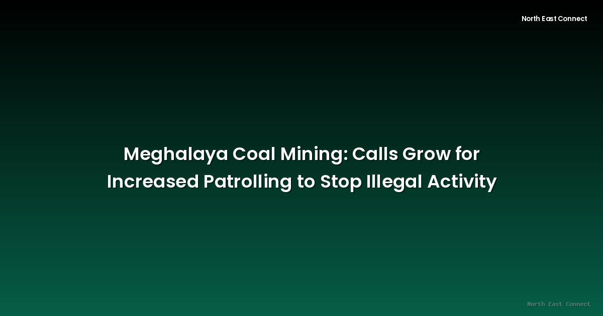 Meghalaya Coal Mining: Calls Grow for Increased Patrolling to Stop Illegal Activity