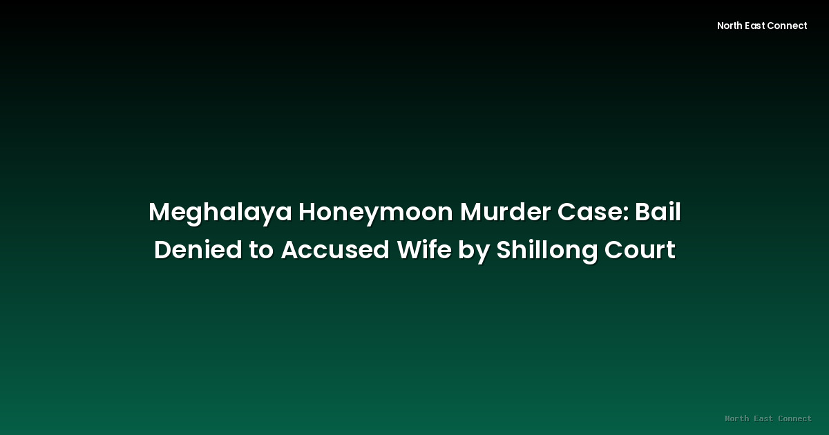 Meghalaya Honeymoon Murder Case: Bail Denied to Accused Wife by Shillong Court