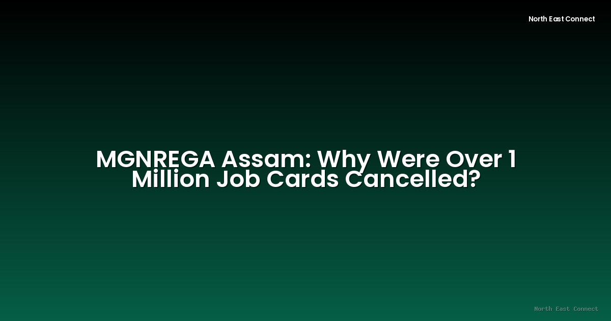 MGNREGA Assam: Why Were Over 1 Million Job Cards Cancelled?