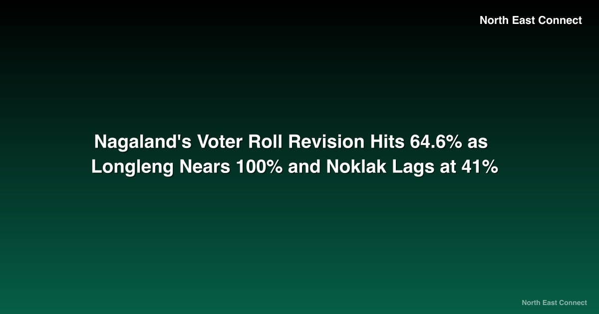 Nagaland's Voter Roll Revision Hits 64.6% as Longleng Nears 100% and Noklak Lags at 41%