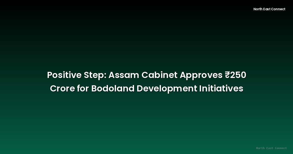 Positive Step: Assam Cabinet Approves ₹250 Crore for Bodoland Development Initiatives