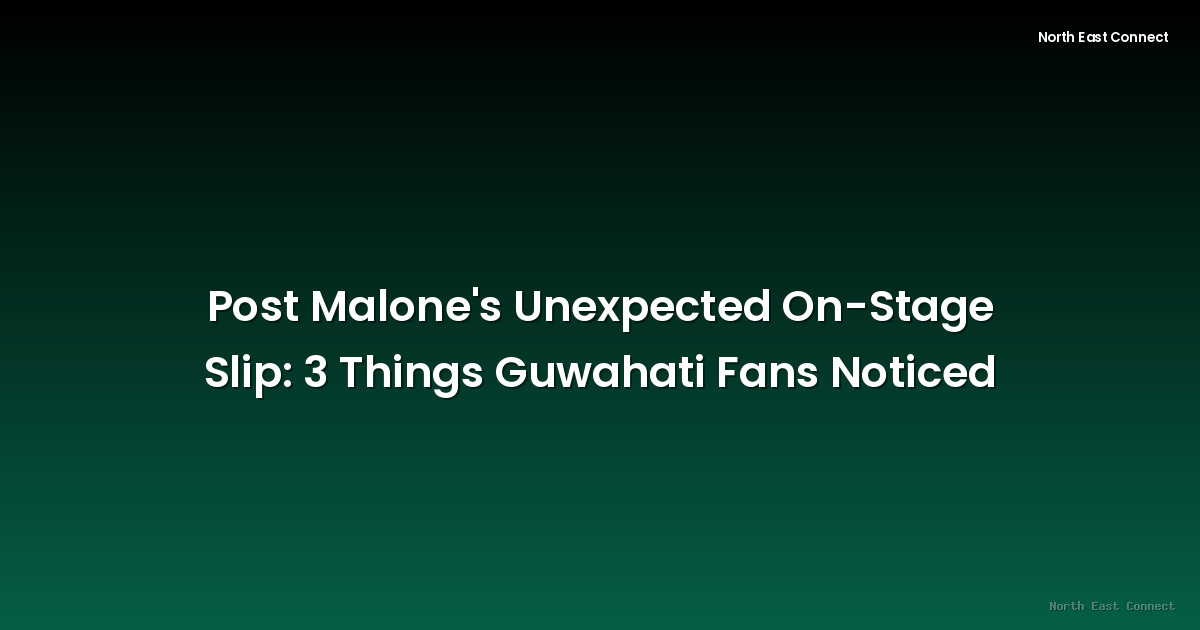 Post Malone's Unexpected On-Stage Slip: 3 Things Guwahati Fans Noticed