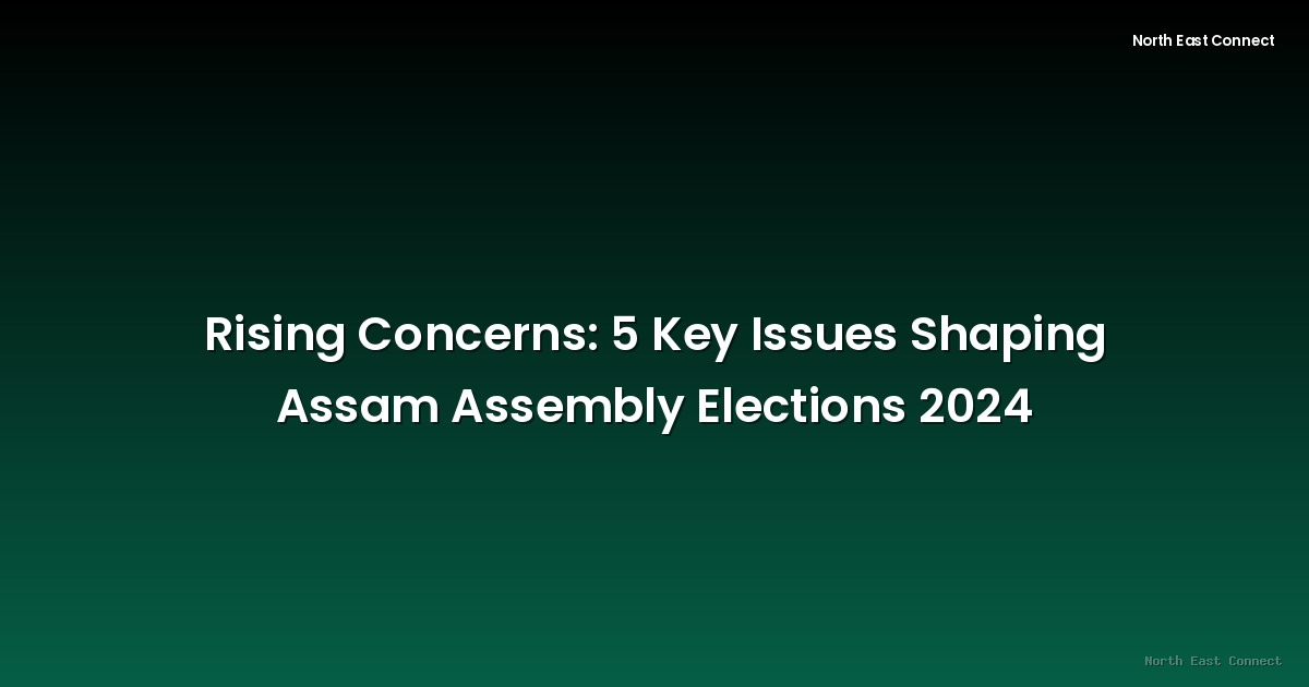 Rising Concerns: 5 Key Issues Shaping Assam Assembly Elections 2024