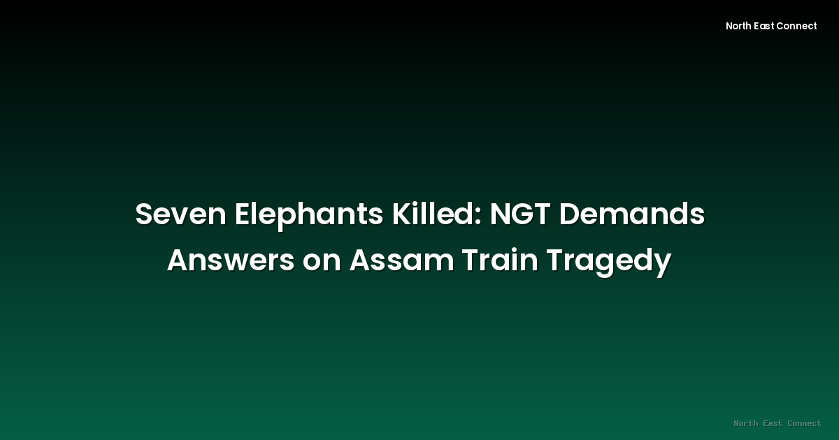Seven Elephants Killed: NGT Demands Answers on Assam Train Tragedy
