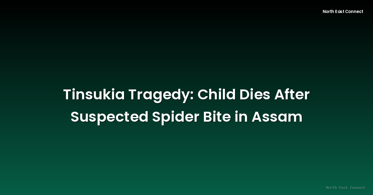 Tinsukia Tragedy: Child Dies After Suspected Spider Bite in Assam